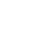 room type ECONOMY