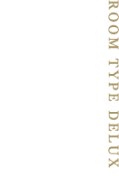 客室 TYPE-デラックス