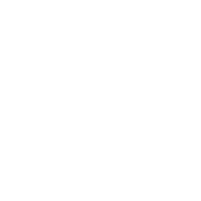 room type SPECIAL